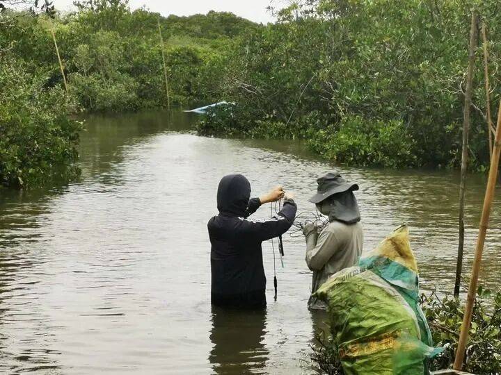 ——中山大学海洋科学学院创新守护“蓝色粮仓”|新华智见pg电子娱乐平台把实验室搬到“塘头”让成果“游”上餐桌(图2) ——中山大学海洋科学学院创新守护“蓝色粮仓”|新华智见pg电子娱乐平台把实验室搬到“塘头”让成果“游”上餐桌(图2)