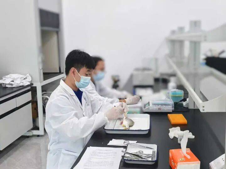 ——中山大学海洋科学学院创新守护“蓝色粮仓”|新华智见pg电子娱乐平台把实验室搬到“塘头”让成果“游”上餐桌(图3) ——中山大学海洋科学学院创新守护“蓝色粮仓”|新华智见pg电子娱乐平台把实验室搬到“塘头”让成果“游”上餐桌(图3)