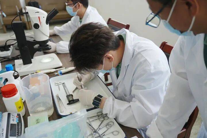 ——中山大学海洋科学学院创新守护“蓝色粮仓”|新华智见pg电子娱乐平台把实验室搬到“塘头”让成果“游”上餐桌(图7) ——中山大学海洋科学学院创新守护“蓝色粮仓”|新华智见pg电子娱乐平台把实验室搬到“塘头”让成果“游”上餐桌(图7)